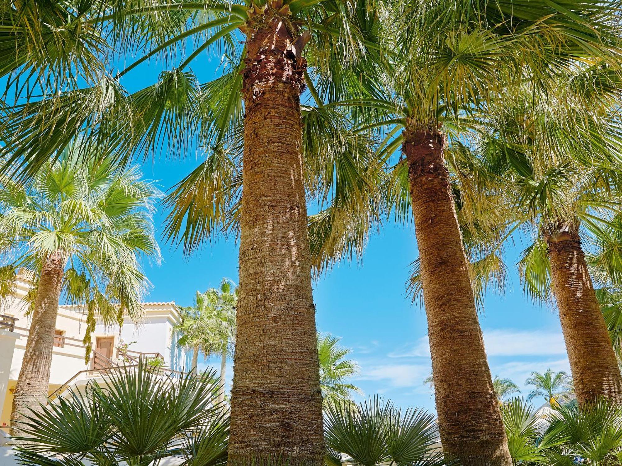Grecotel Marine Palace & Aqua Park Rétino Exterior foto
